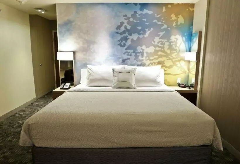 キングサイズベッドのスタンダードルーム, Courtyard By Marriott Battle Creek