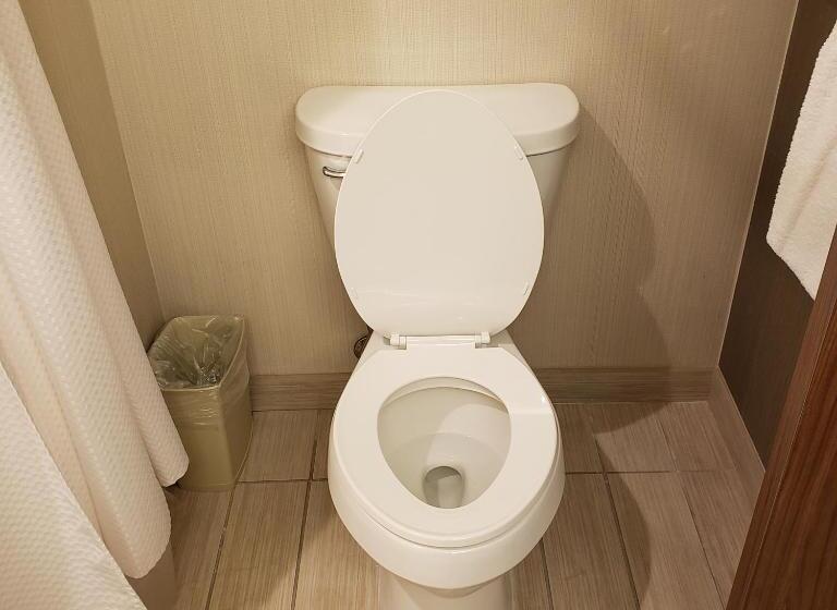 غرفة قياسية, Courtyard By Marriott Battle Creek