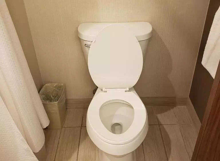 スタンダードルーム, Courtyard By Marriott Battle Creek
