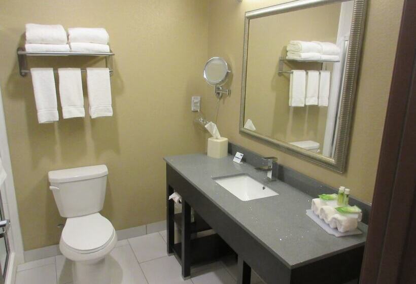 스위트, Holiday Inn Express & Suites Butler, An Ihg