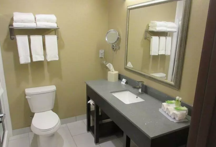 スイート, Holiday Inn Express & Suites Butler, An Ihg