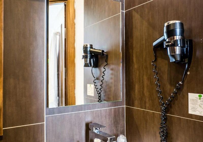 اتاق استاندارد, Art Hotel Eiffel