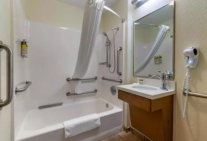 身障者適用スイートルーム, Candlewood Suites Reading, An Ihg