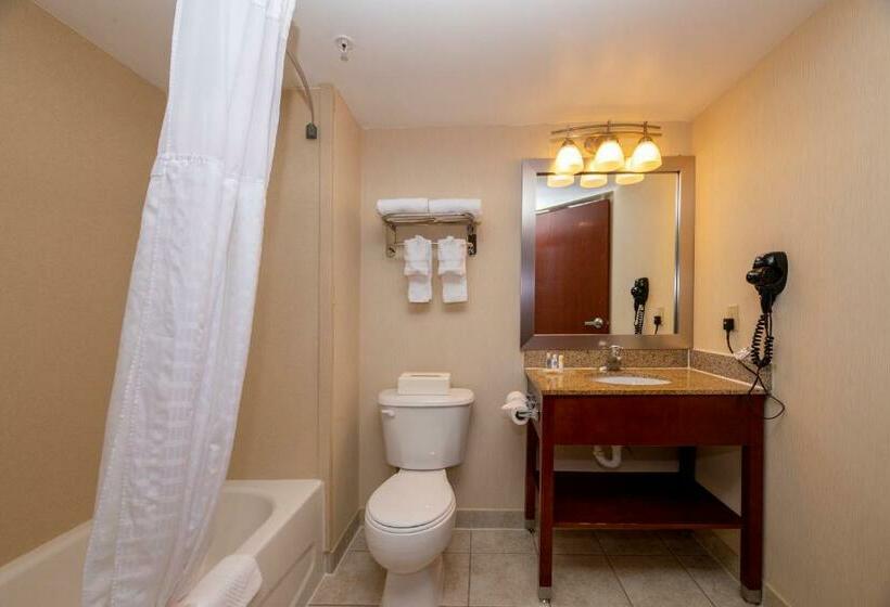Quarto Estandar Cama King, Comfort Inn Near Quantico Main Gate North