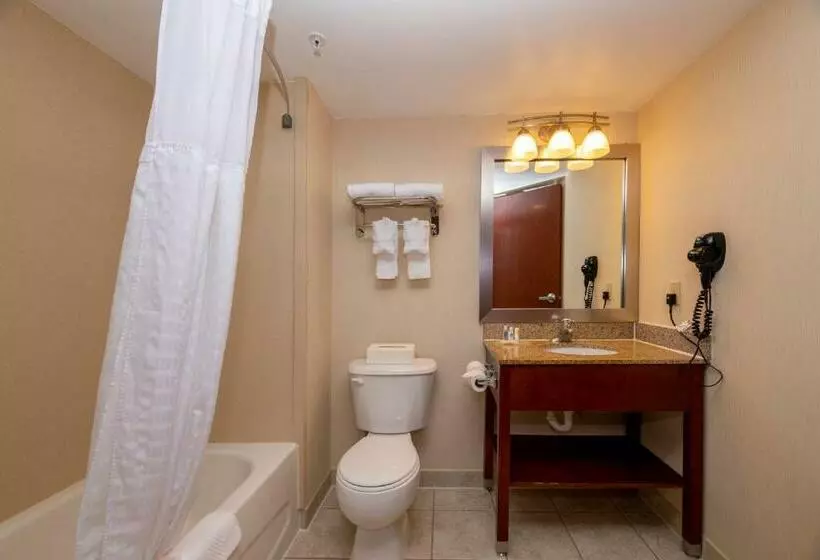 キングサイズベッドのスタンダードルーム, Comfort Inn Near Quantico Main Gate North