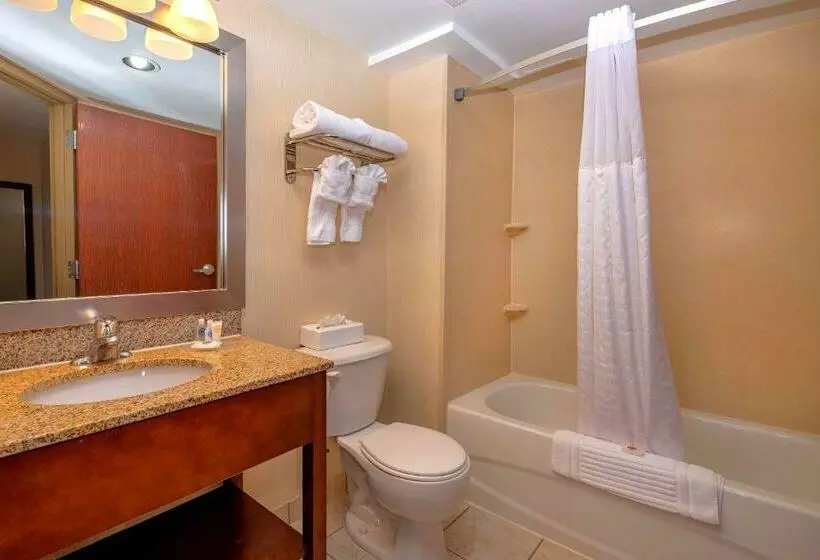 キングサイズベッドのスタンダードルーム, Comfort Inn Near Quantico Main Gate North