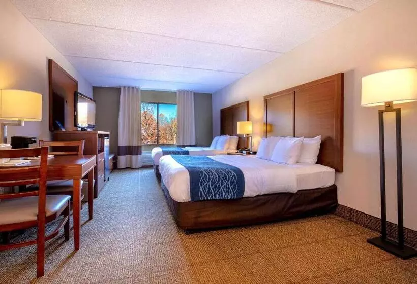 スタンダードルーム, Comfort Inn Near Quantico Main Gate North