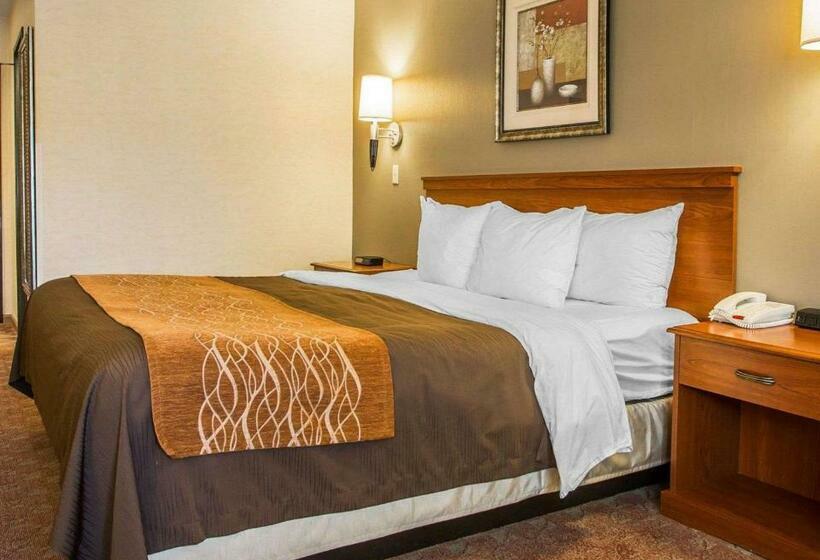 חדר סטנדרט עם מיטת קינג, Comfort Inn