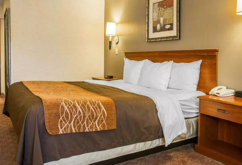 キングサイズベッドのスタンダードルーム, Comfort Inn