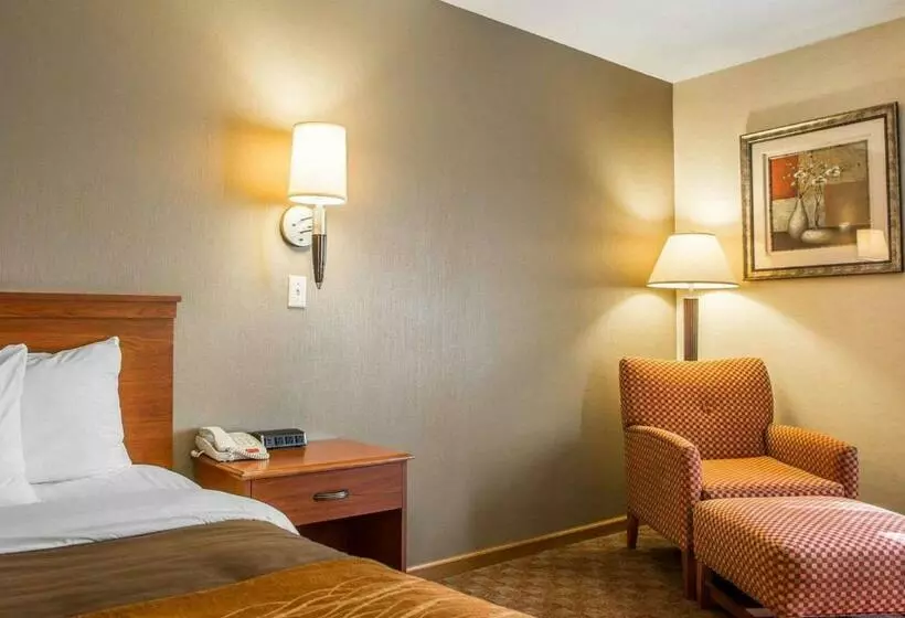 キングサイズベッドのスタンダードルーム, Comfort Inn