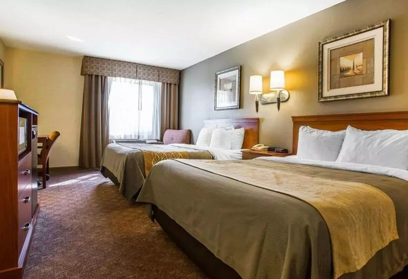 スタンダードルーム, Comfort Inn