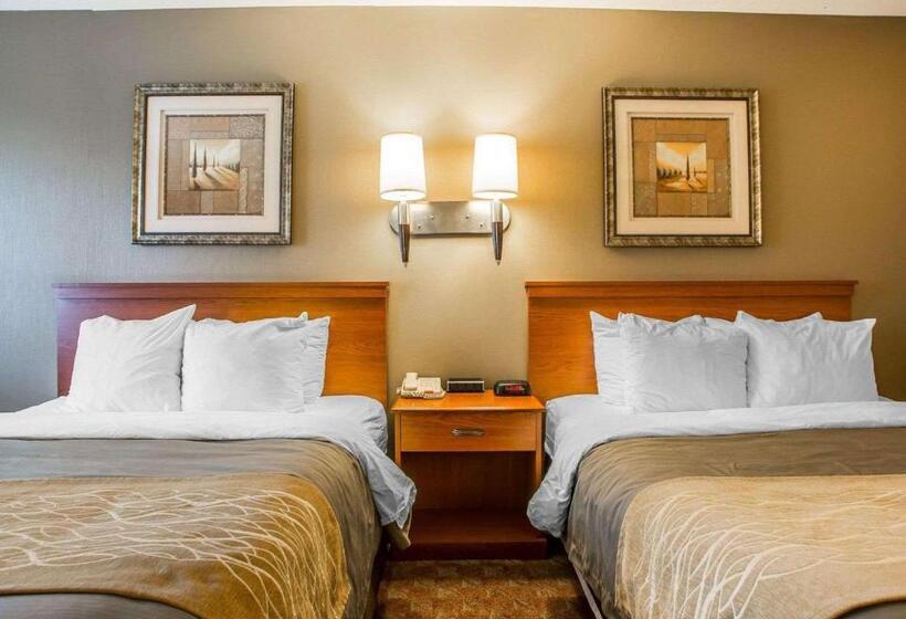 חדר סטנדרט, Comfort Inn