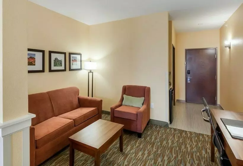 Sviitti, Comfort Suites Cotulla Near I35