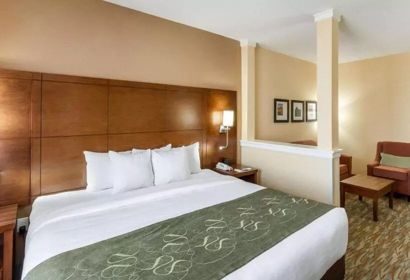 Sviitti King-vuode, Comfort Suites Cotulla Near I35