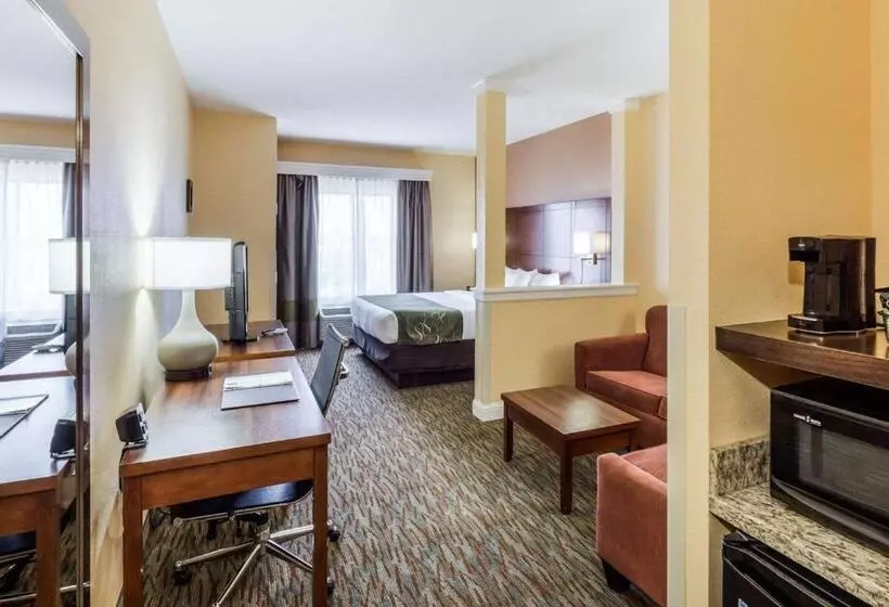 Sviitti King-vuode, Comfort Suites Cotulla Near I35