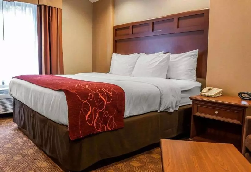 キングサイズベッドのスイートルーム, Comfort Suites