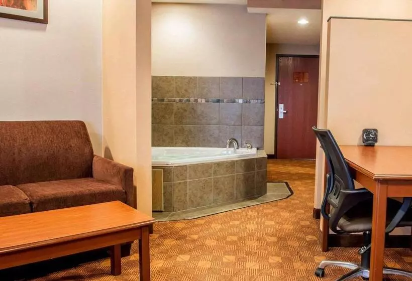 キングサイズベッドのスイートルーム, Comfort Suites