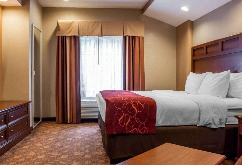 Люкс Кровать Кинг, Comfort Suites