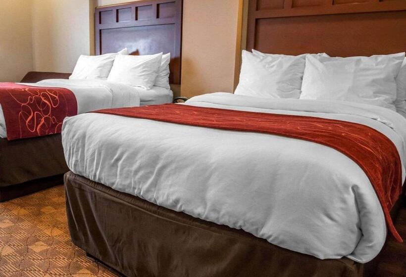 Люкс, Comfort Suites