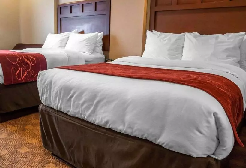スイート, Comfort Suites
