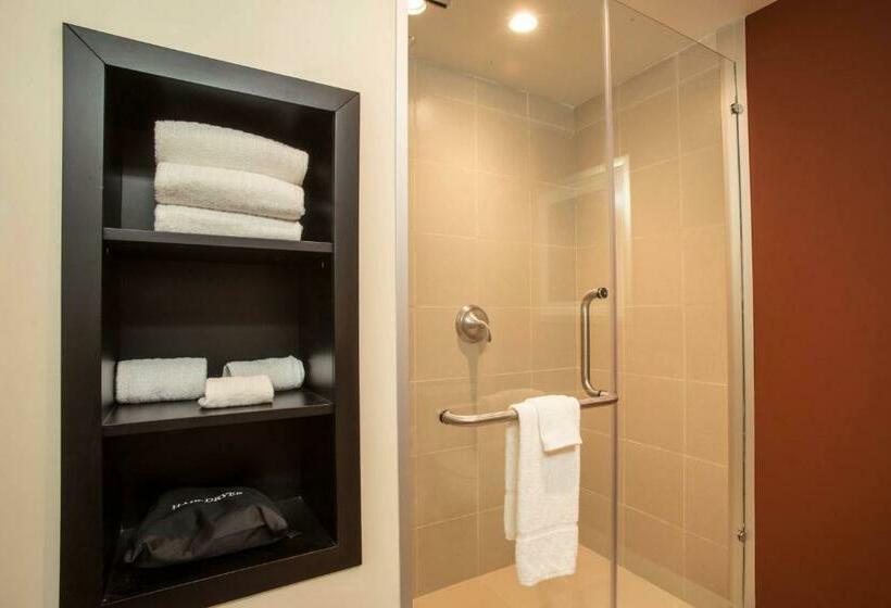 带城市景观的标准间, Courtyard Toluca Tollocan