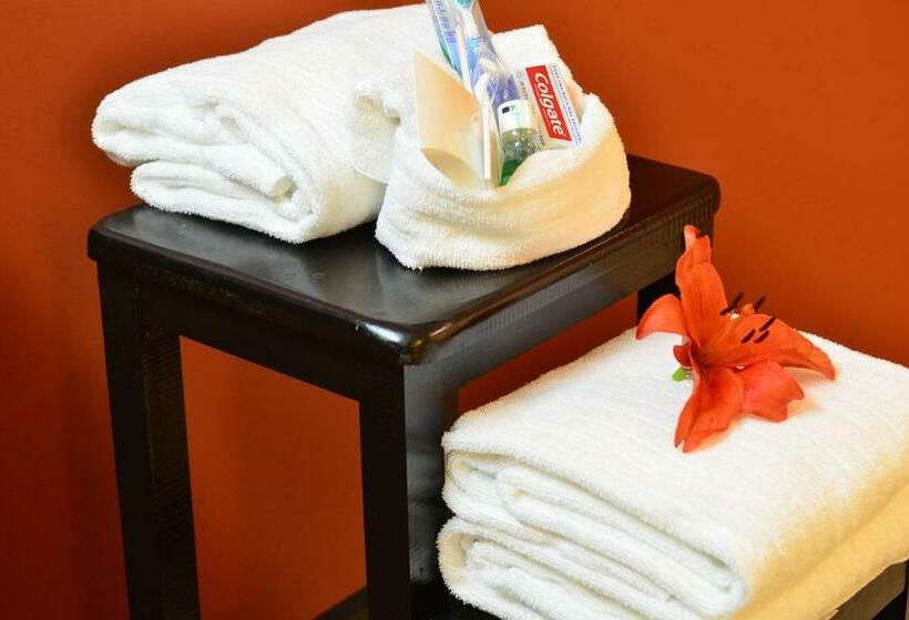 带城市景观的标准间, Courtyard Toluca Tollocan