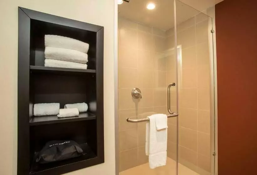 اتاق استاندارد با تخت بزرگ, Courtyard Toluca Tollocan