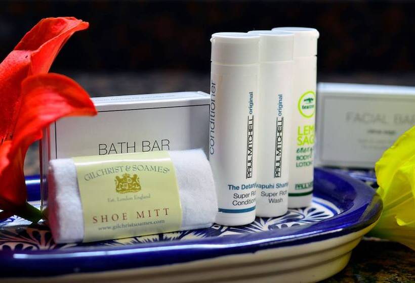 小型套房, Courtyard Toluca Tollocan