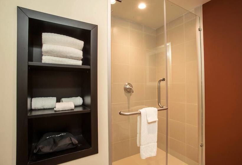 小型套房, Courtyard Toluca Tollocan