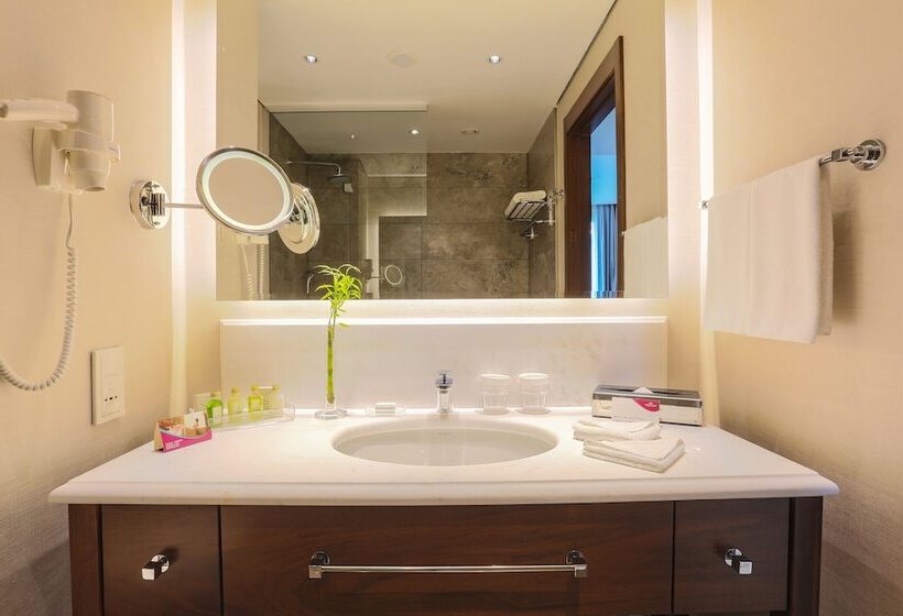 スタンダードルーム, Crowne Plaza Istanbul Oryapark, An Ihg