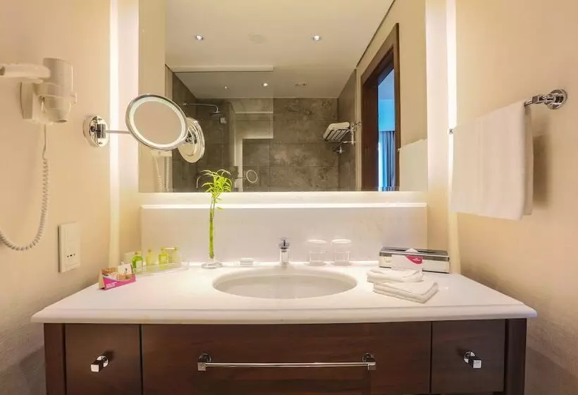 スタンダードルーム, Crowne Plaza Istanbul Oryapark, An Ihg