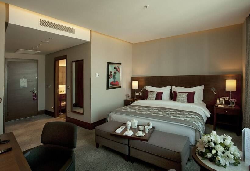 スタンダードルーム, Crowne Plaza Istanbul Oryapark, An Ihg