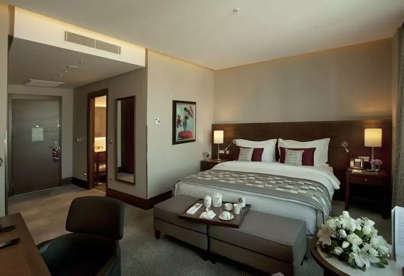 スタンダードルーム, Crowne Plaza Istanbul Oryapark, An Ihg