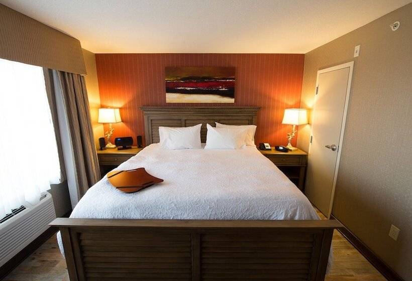 جناح, Hampton Inn By Hilton Sydney