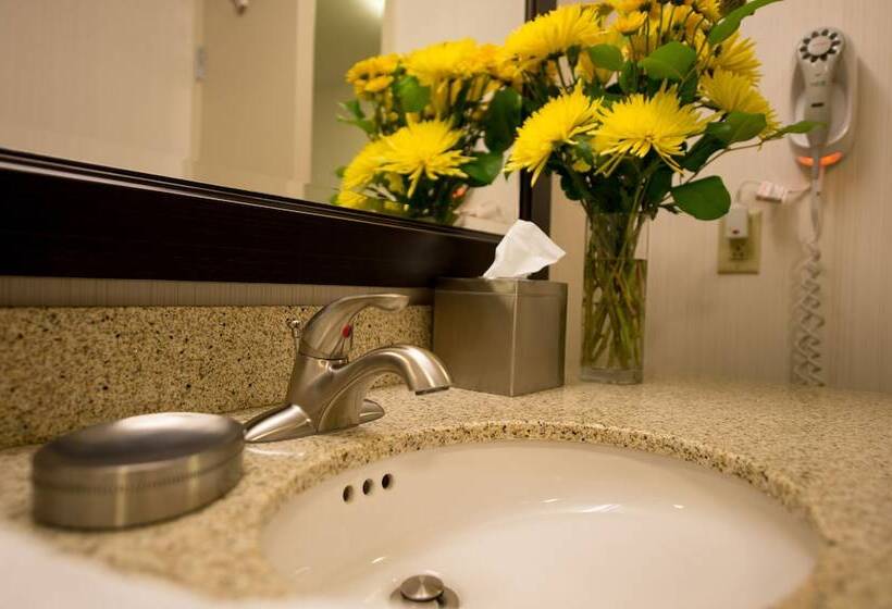 غرفة قياسية, Hampton Inn By Hilton Sydney