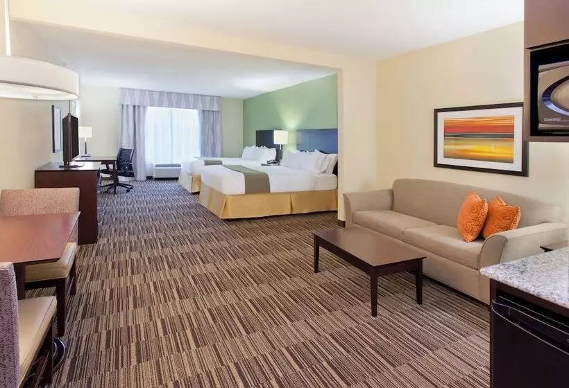 スイート, Holiday Inn Express Hotel & Suites Huntsville West   Research Park, An Ihg