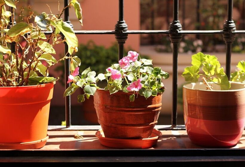 스탠다드 룸, Posta Del ángel   Salta