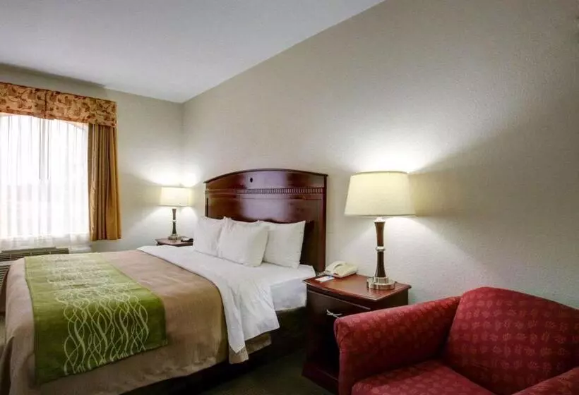 Standard-huone King-vuode, Quality Inn