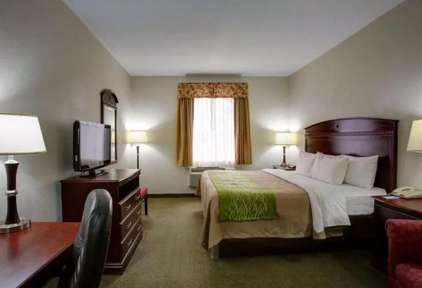 Standard-huone King-vuode, Quality Inn