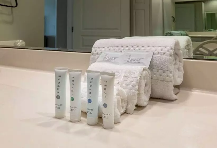 １ベッドルームアパートメント, Palm Beach Resort Orange Beach A Ramada By Wyndham