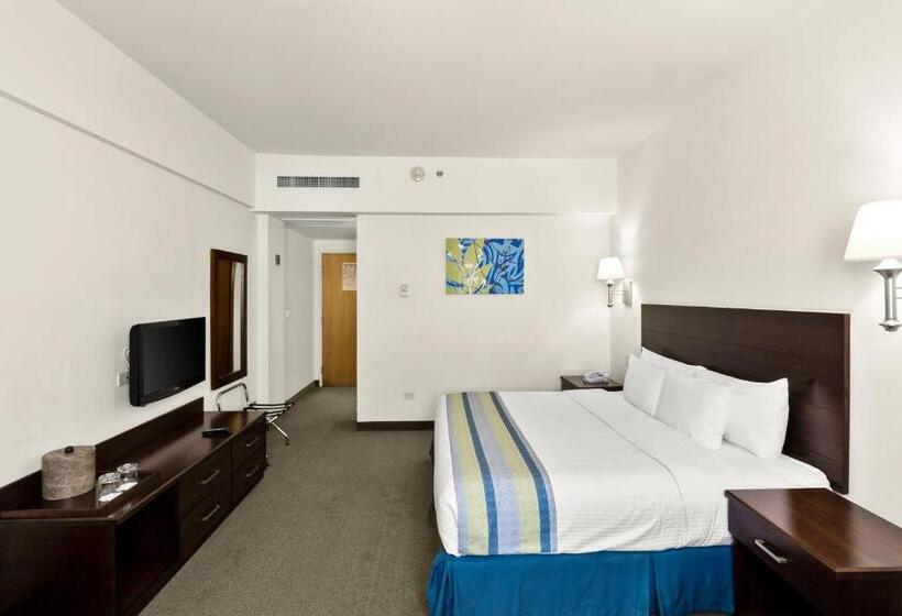 스탠다드 룸 킹사이즈 침대, Aeropuerto Los Cabos