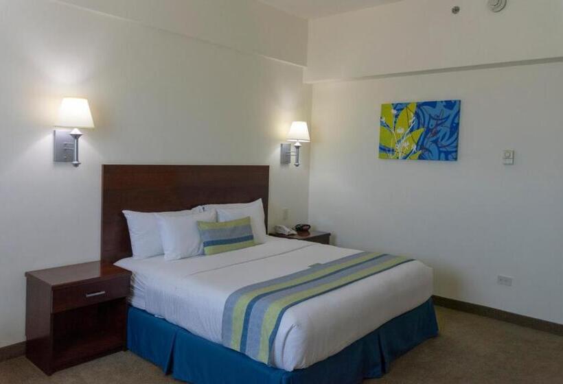 스탠다드 룸 킹사이즈 침대, Aeropuerto Los Cabos