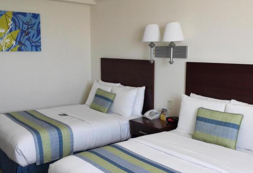 חדר סטנדרט שתי מיטות זוגיות, Aeropuerto Los Cabos