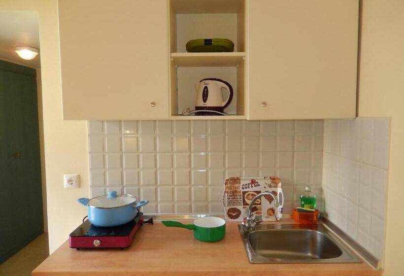 经济型工作室, Aloe Apartments