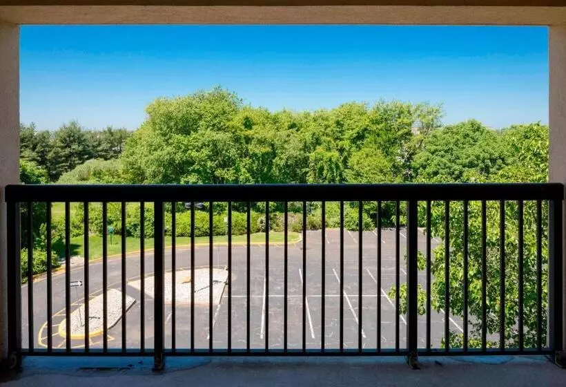 ２ベッドスイートルーム, Courtyard By Marriot Cranbury South Brunswick
