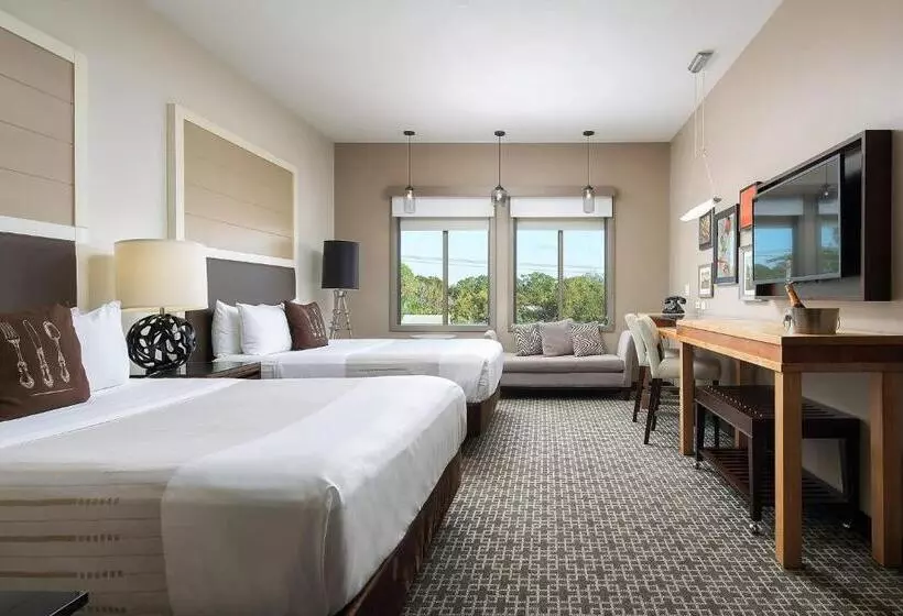 スタンダードルーム, Epicurean Hotel, Autograph Collection