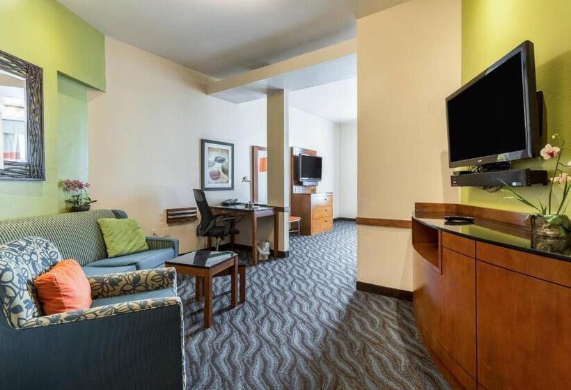 غرفة قياسية, Fairfield Inn & Suites By Marriott Alamogordo