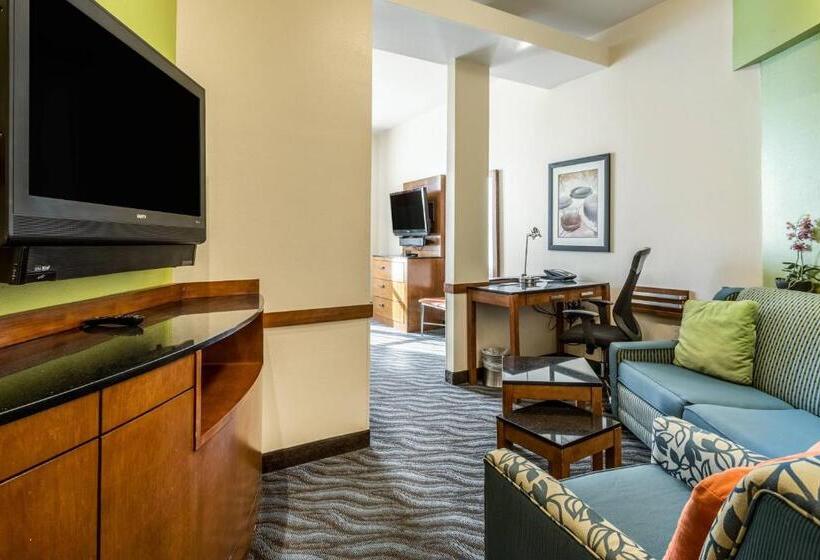 إستوديو قياسى سرير كينج, Fairfield Inn & Suites By Marriott Alamogordo