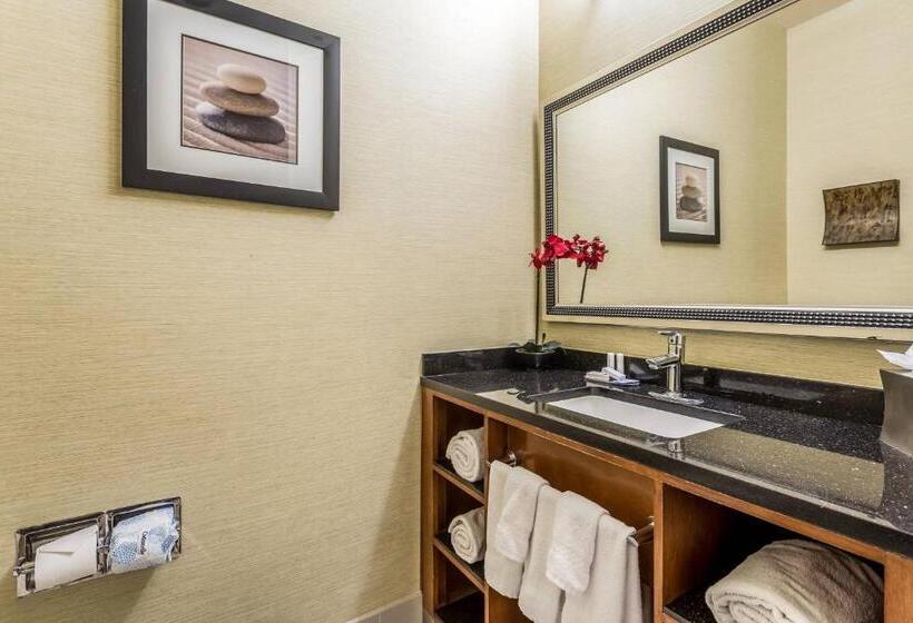 Студио Стандарт Кровать Кинг, Fairfield Inn & Suites By Marriott Alamogordo