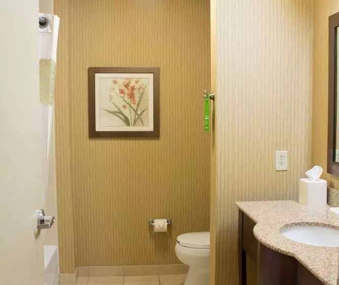 スタンダードルーム, Hampton Inn Junction City